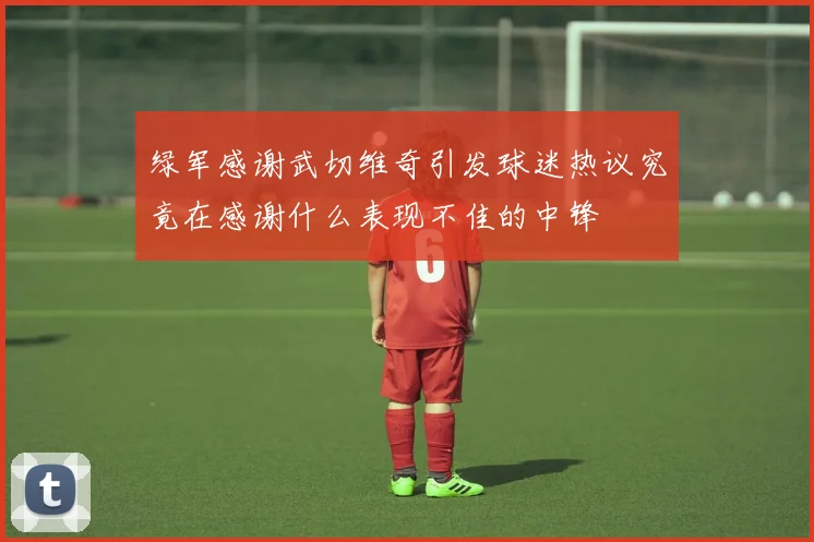 绿军感谢武切维奇引发球迷热议究竟在感谢什么表现不佳的中锋